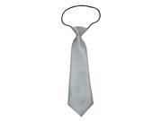 Boys Polyester Elastic Neck Tie Silvery Solid Color Pack Of 2