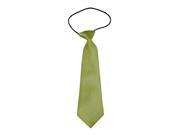 Boys Polyester Elastic Neck Tie Deep Green Solid Color Pack Of 2