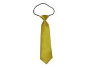 Boys Polyester Elastic Neck Tie Golden Solid Color Pack Of 2