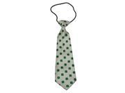 Boys Polyester Elastic Neck Tie White with Green Flower Pack Of 2