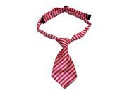 Girls Polyester Neck Tie White and Pink Stripe Pack Of 2