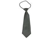 Boys Polyester Elastic Neck Tie Black White Stripe Styles Pack Of 2