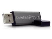 2GB USB Flash Drive Pro DSP2GB 005
