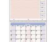 AT A GLANCE QuickNotes Special Edition Vertical Wall Calendar AAGPMPN5028