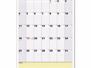 AT A GLANCE QuickNotes Wall Calendar AAGPM5428