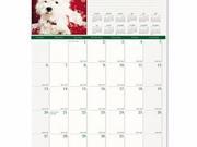 House of Doolittle Earthscapes 100% Recycled Puppies Monthly Wall Calendar HOD3651