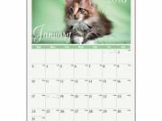 AT A GLANCE Kittens Wall Calendar AAGDMW40028