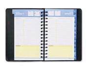 AT A GLANCE QuickNotes Daily Monthly Appointment Book AAG760405
