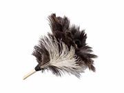 Boardwalk Professional Ostrich Feather Duster BWK13FD
