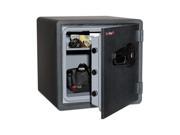 Fireking One Hour Fire Safe and Water Resistant with Biometric Fingerprint Lock FIRKY13131GRFL
