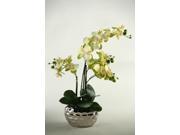 D W Silks Phaleanopsis Orchid In Mirrored Planter
