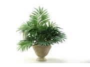 D W Silks Parlor Palm In Ceramic Planter