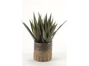 D W Silks Stripped Agave In Round Planter