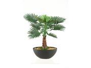 D W Silks Miniature Bismarka Tree In Oval Ceramic Planter
