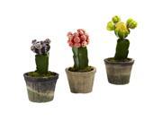 Nearly Natural Colourful Cactus Set of Three