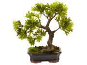 Nearly Natural Podocarpus With Mossed Bonsai Planter