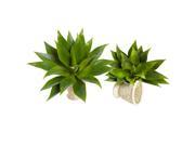 Nearly Natural 17 Agave Succulent Plant Set of Two