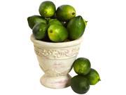Nearly Natural Faux Limes Set of Twelve