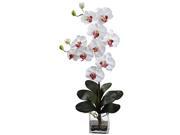 Nearly Natural Double Giant Phalaenopsis With Vase In White