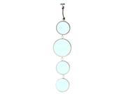 Moe s Home Mirrored Circles Silver [Set of 2]