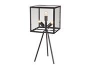 Dimond Lighting 28 Workshop Glass Cube Table Lamp in Aged Bronze D2658