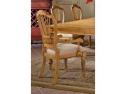 Hillsdale Wilshire Arm Chair in Antique Pine Set of 2