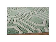 Momeni Bliss BS 21 Rug in Sage 3 Foot 6 Inch x 5 Foot 6 Inch