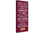 Replay Photos Gallery Wrapped Canvas of Arizona State Color Subway Art