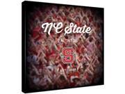 Replay Photos Gallery Wrapped Canvas of NC State Logo Art