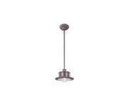 Troy Lighting South Street 1 Light Hanging Down in Old Rust F9395OR