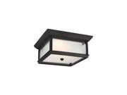 2 Light Outdoor Flush Mount