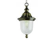 Trans Globe Lighting 4185 BG Black Gold Single Light Down Lighting Outdoor Pendant from the Outdoor Collection