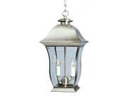 Trans Globe Lighting 4975 BN Brushed Nickel Two Light Down Lighting Outdoor Pendant from the Outdoor Collection