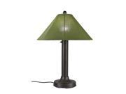 Catalina Table Lamp 65647 with 3 bronze body