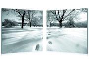 Telltale Trail Mounted Photography Print Diptych