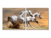 Galloping Grandeur Mounted Photography Print Diptych