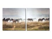 A Zeal of Zebras Mounted Photography Print Diptych