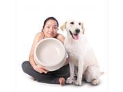 014 New Design Giant dog bowl Jumbo dog feeder Large dog bowl Great dog feeder