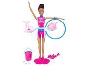 Barbie I Can Be Dolphin Trainer Doll African American