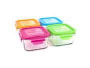 Wean Green Garden 4 Pack Lunch Cubes 16 Ounce