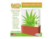 Indispensable Aloe Kit