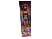 Barbie Beach Barbie Doll