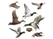 Fathead Ducks Wall Decal