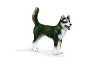 Schleich World of Nature Farm Life Collection Husky Male Figurine