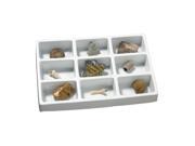 Educational Insights GeoSafari Fossils Collection