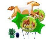 Pony Party Balloon Kit