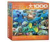 EuroGraphics The Journey Of The Sea Turtle by Howard Robi 1000 Piece S box