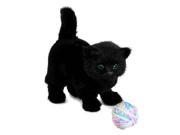 AWSOM Pets! Black Kitty Accessories for 18 Inch Girl Dolls