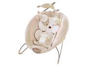 Fisher Price My Little Snugapuppy Deluxe Bouncer