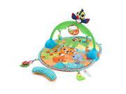 Little Tikes Baby Good Vibrations Deluxe Activity Gym with Bag